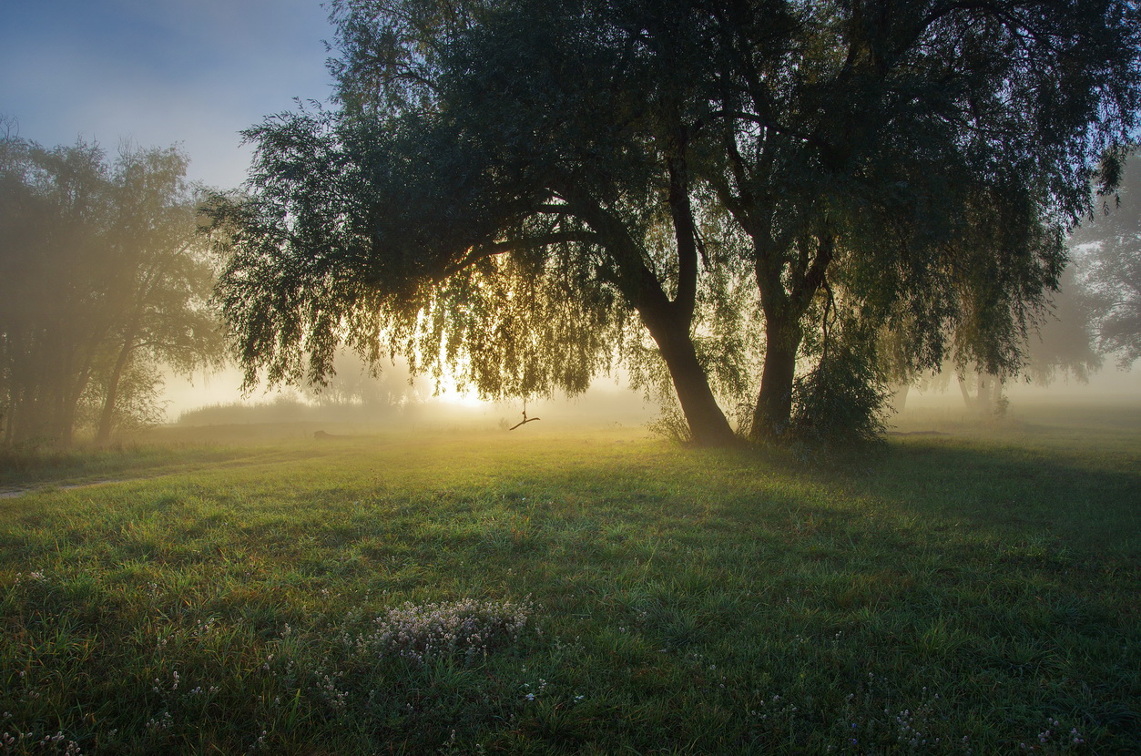 Уходило лето...