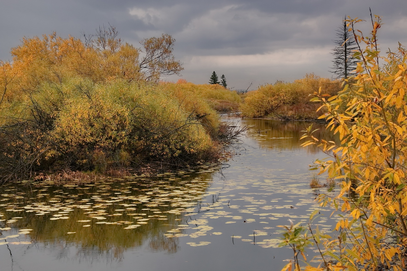 Лесное озеро.**