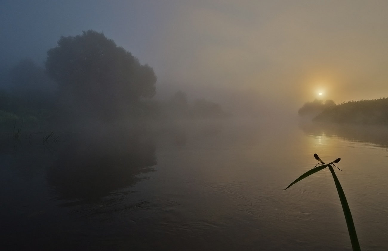 Рассвет для двоих