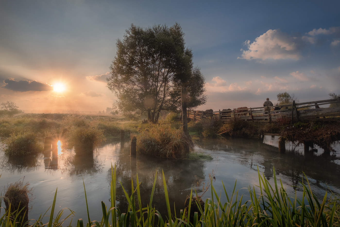 Утро в Филипповском