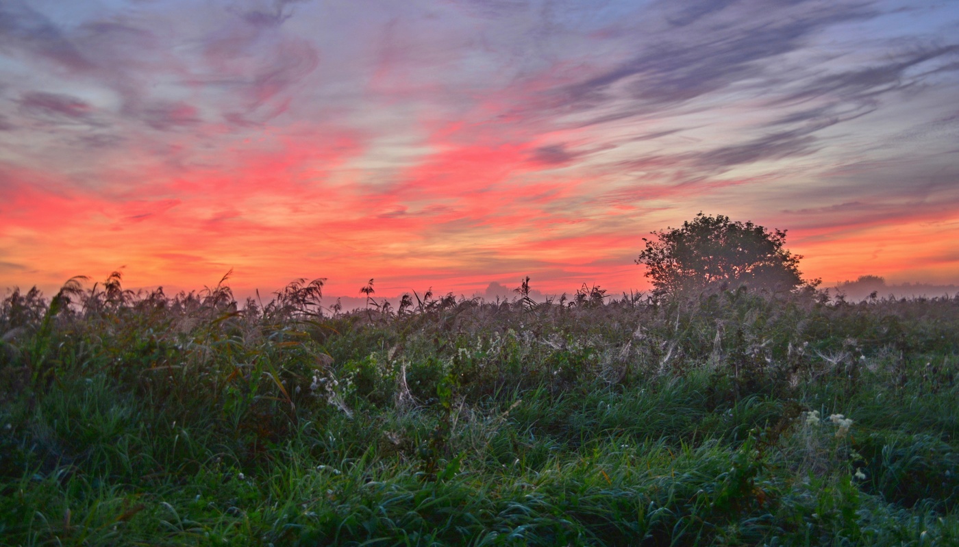 Утро рисует рассвет