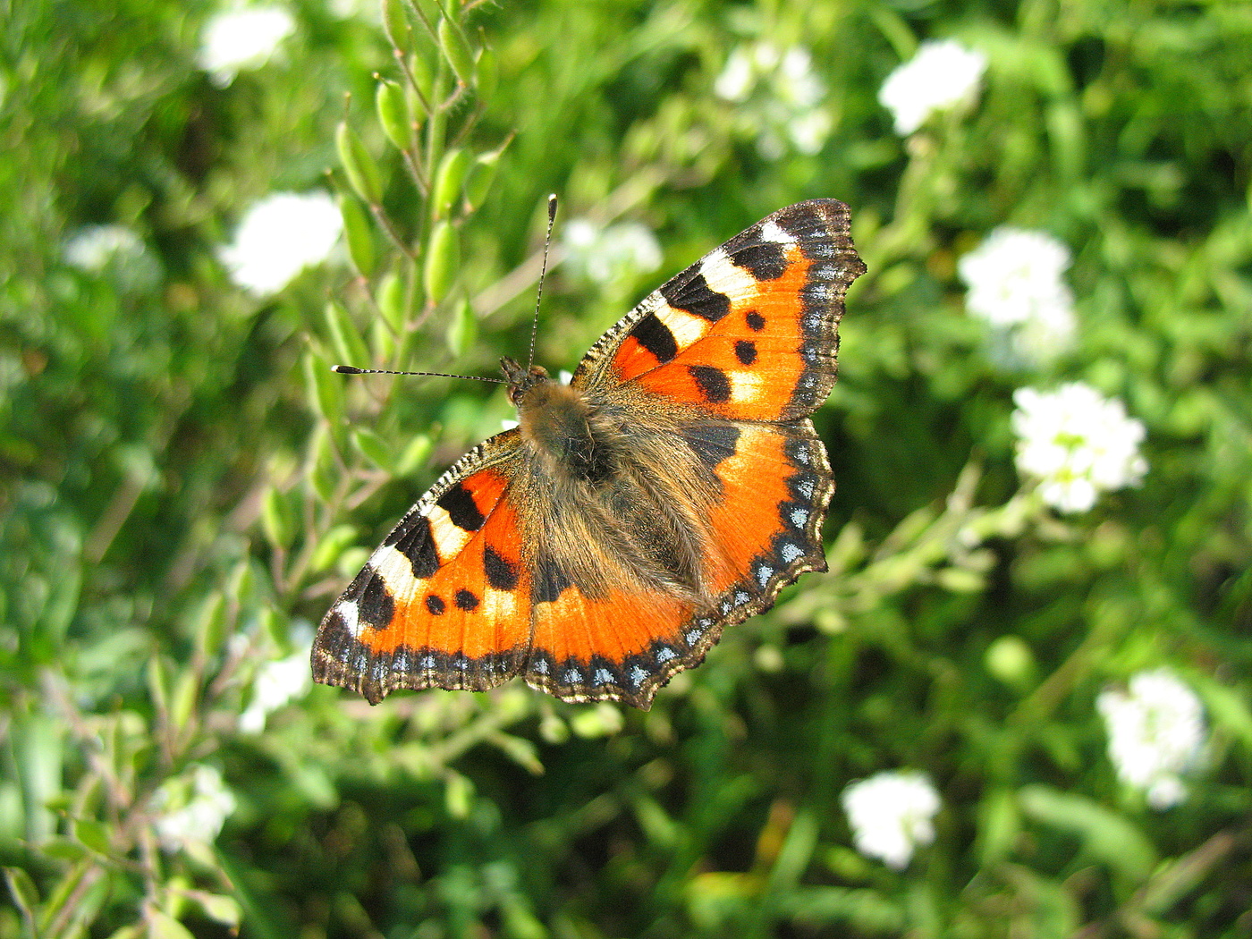 Закрытие сезона!