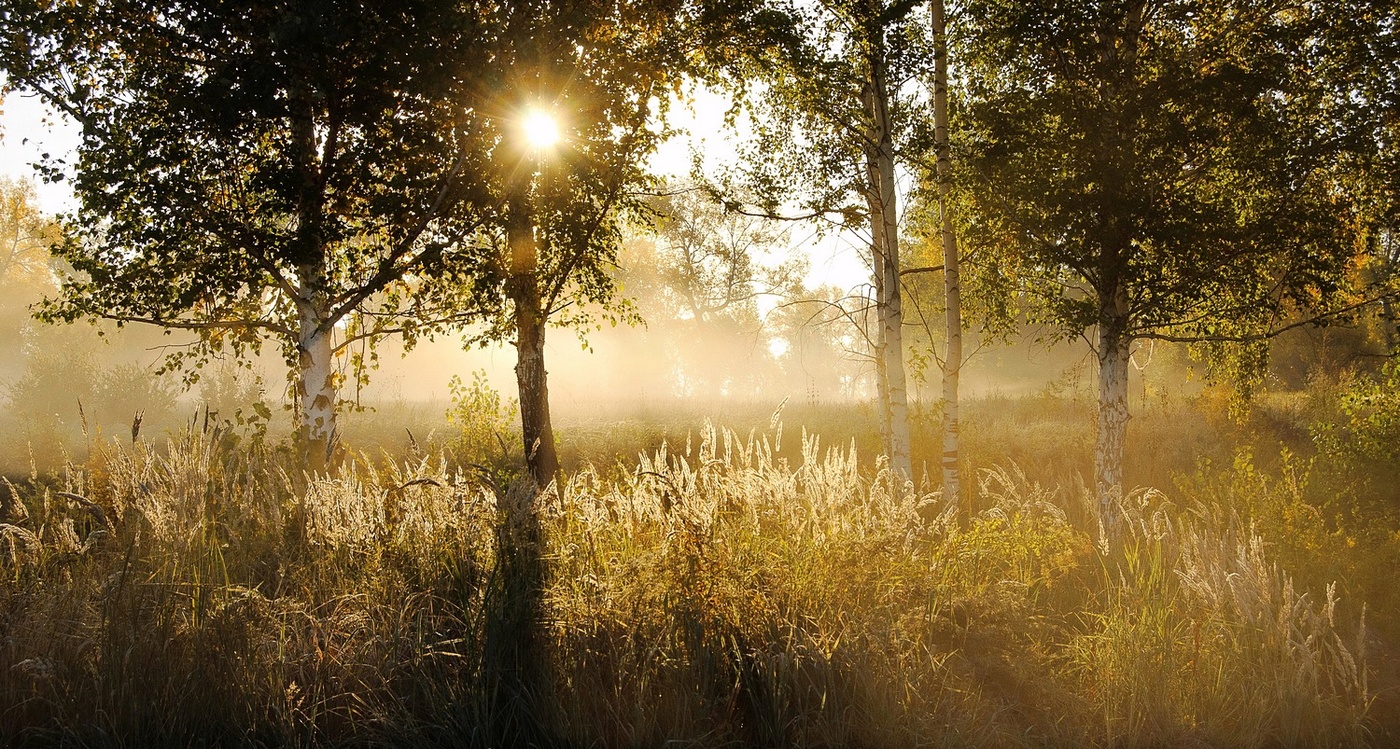 Легкой дымкой туман затушует за речкой пейзажи....