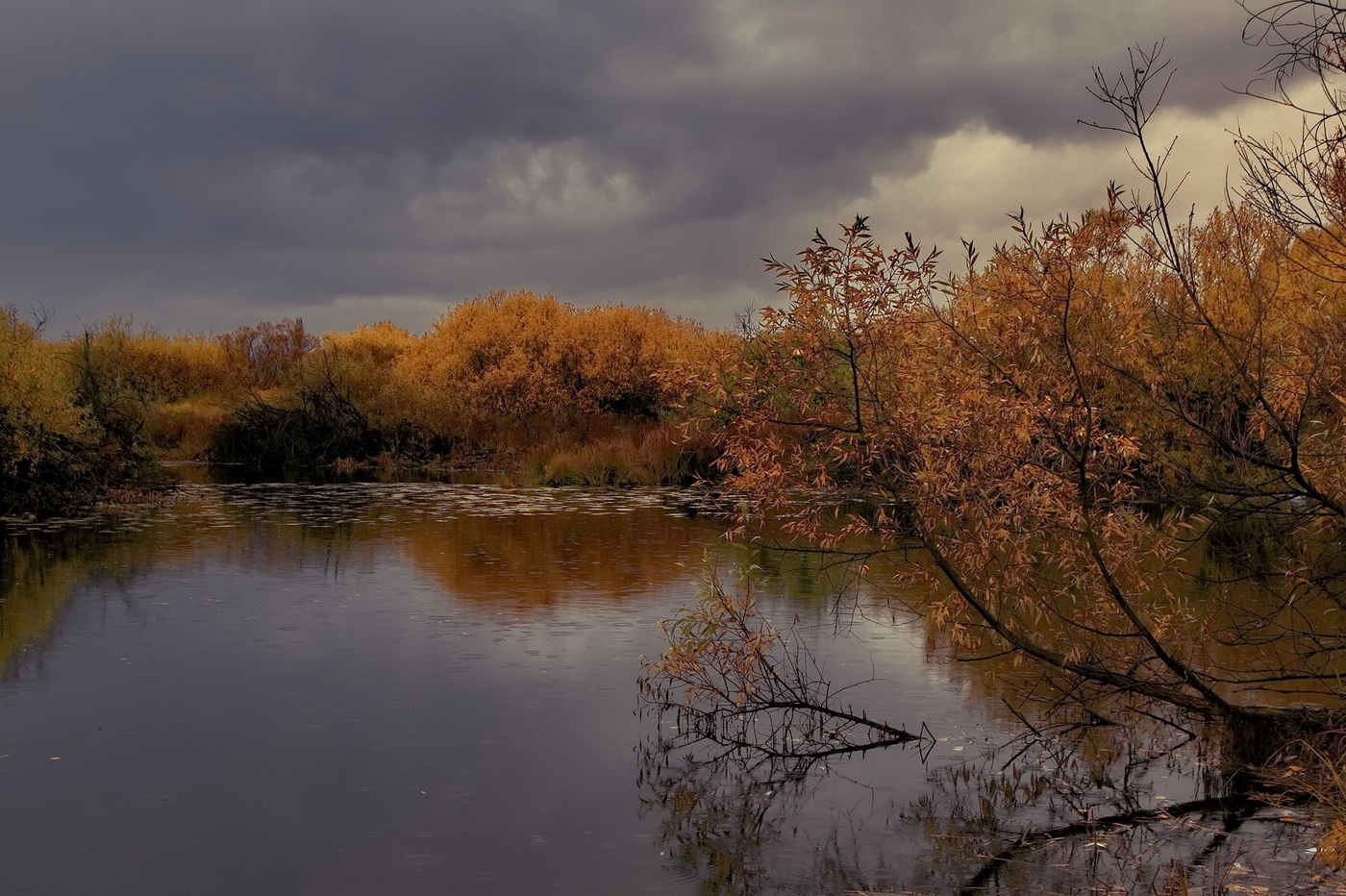 Осенний день.