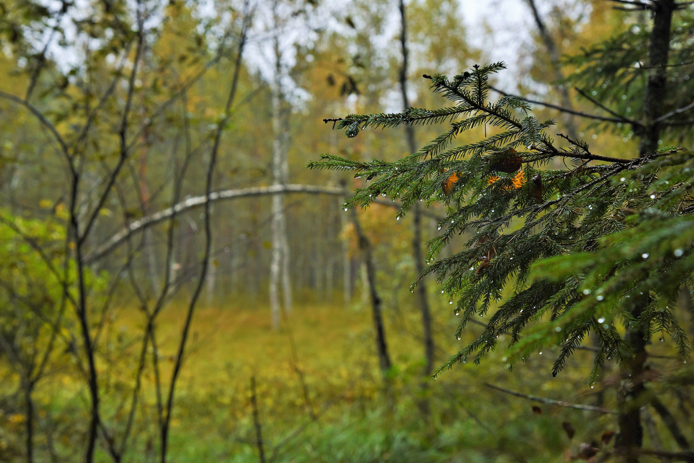 Сентябрь ...