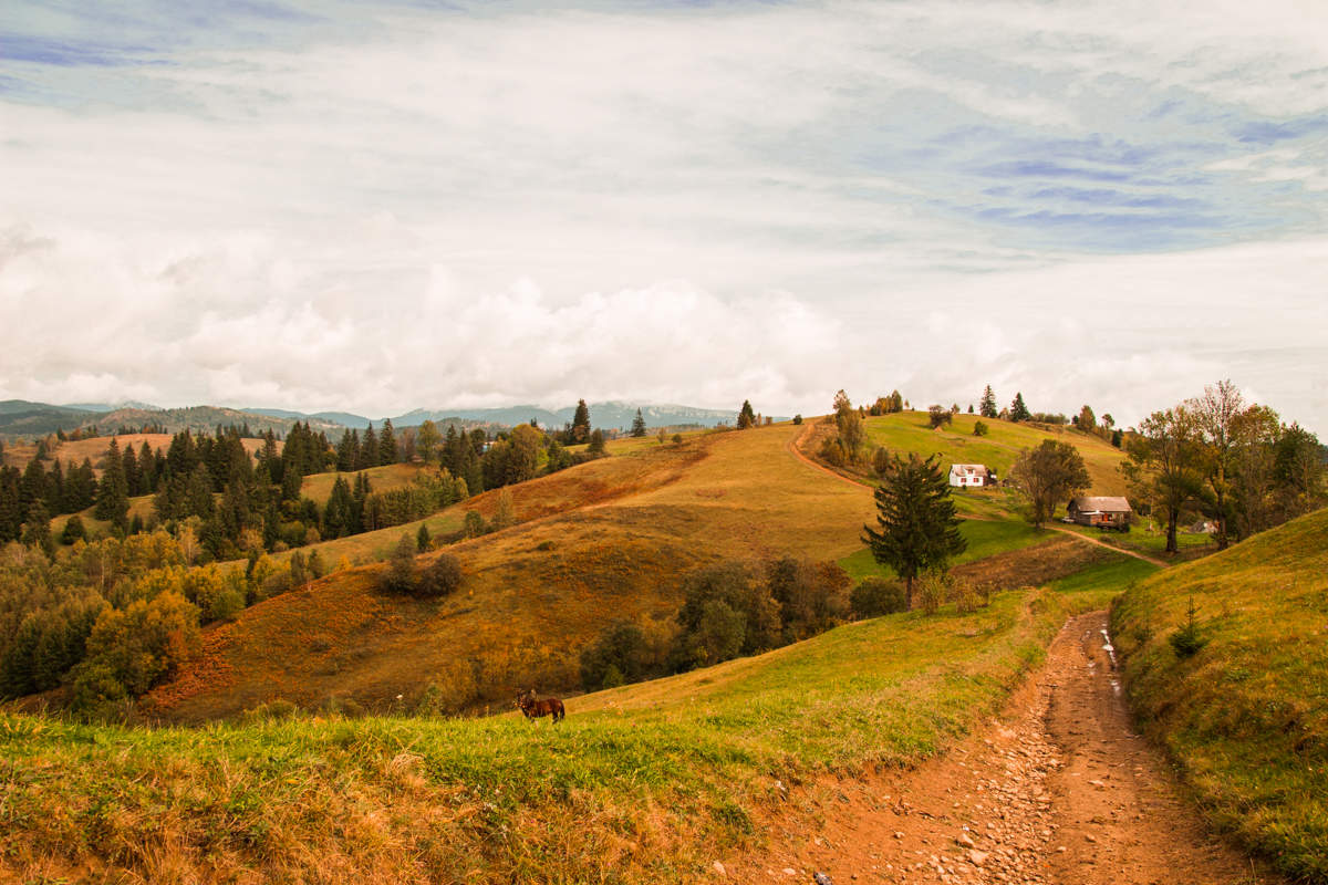 Закарпатская осень