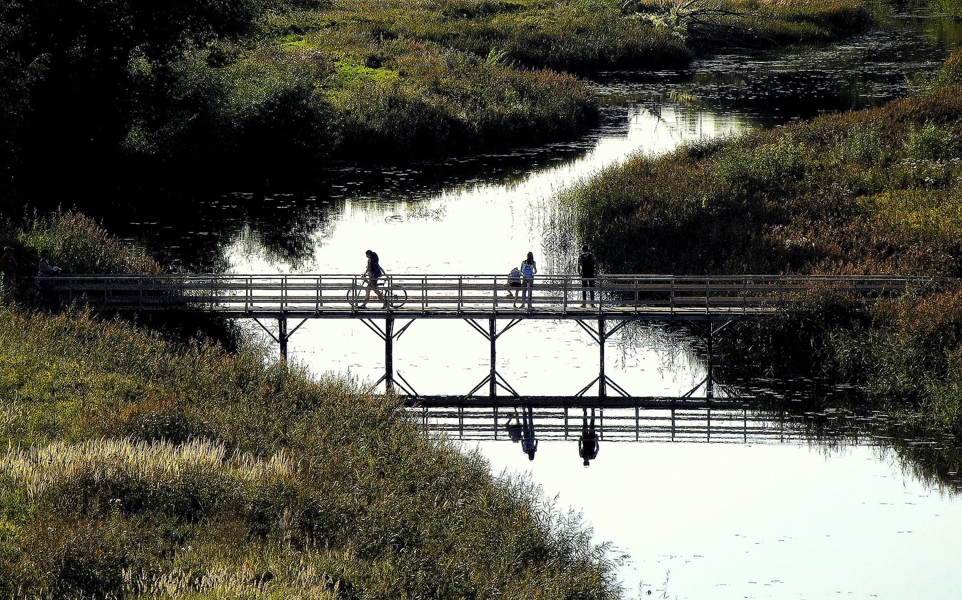 На мосточке.