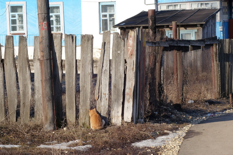 Дом, в котором живет...