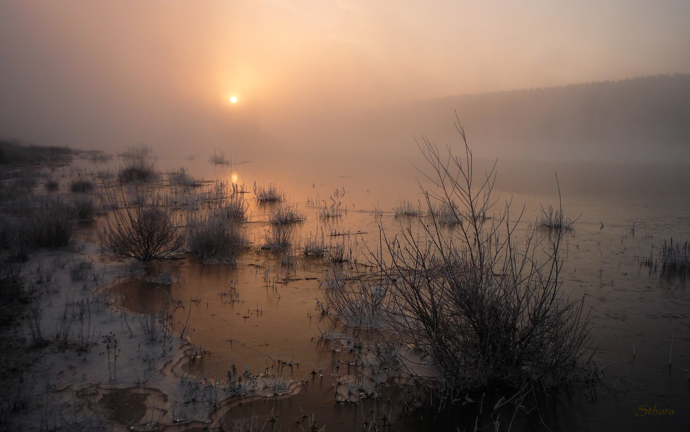 Холодное утро осени.