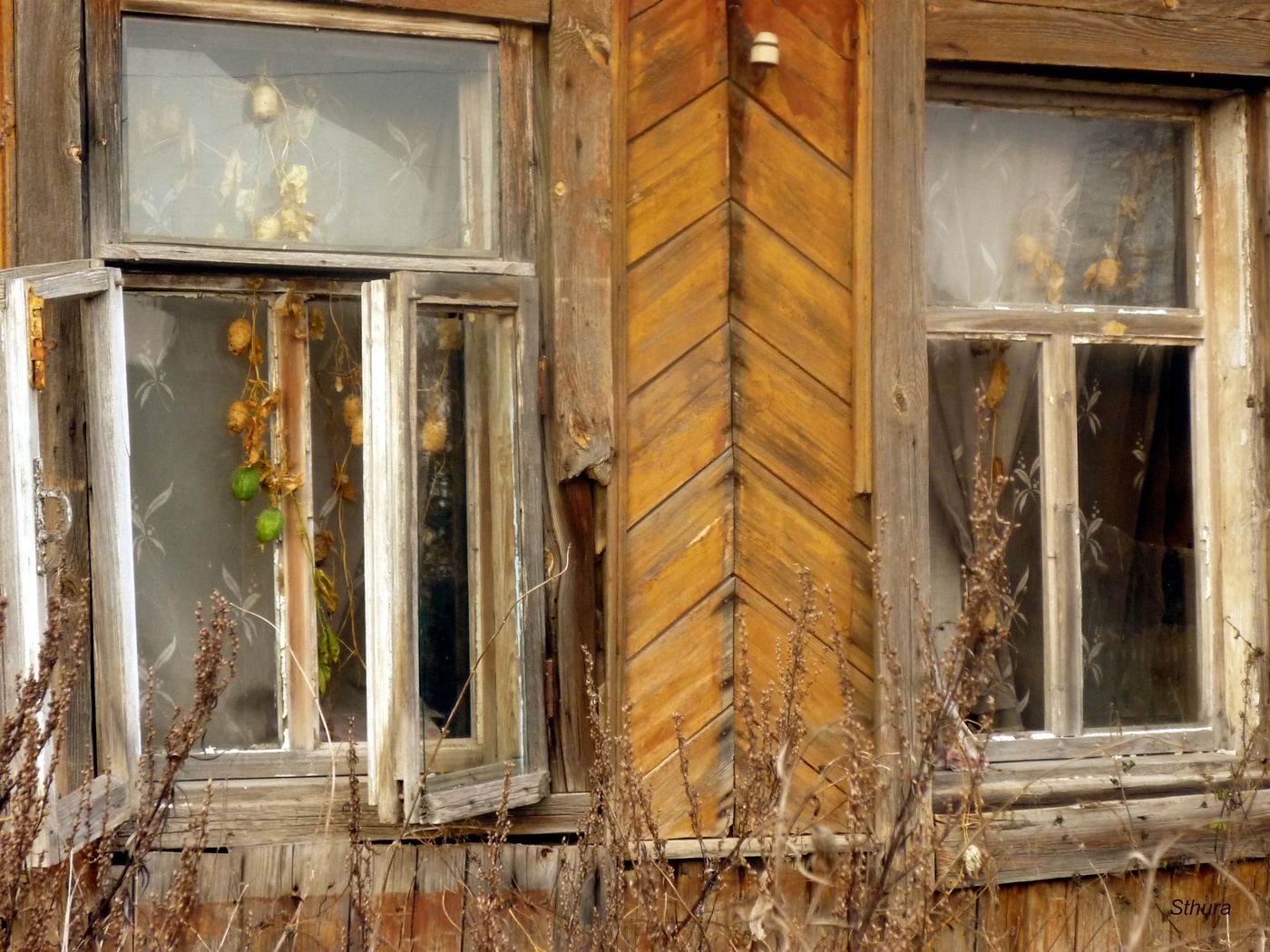 Дом, в котором живет...