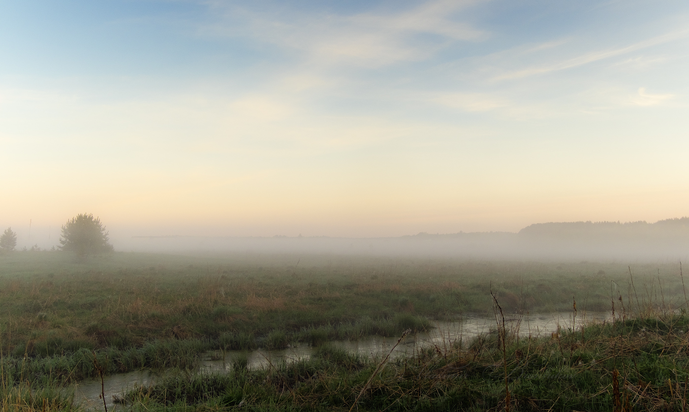 Туман у ручья