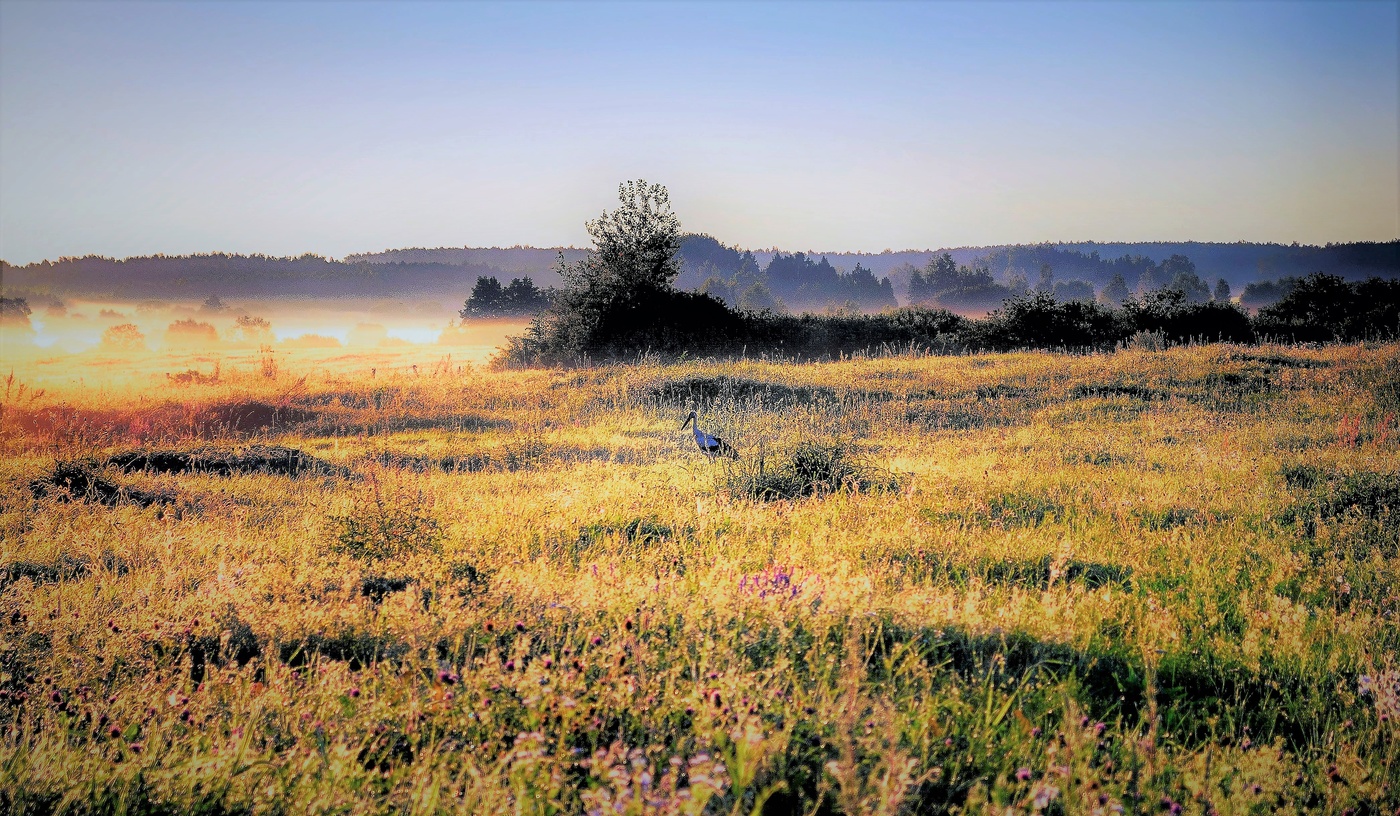 Созерцание.