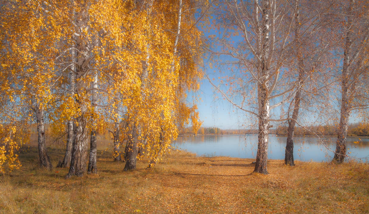 Вот и весь сентябрь