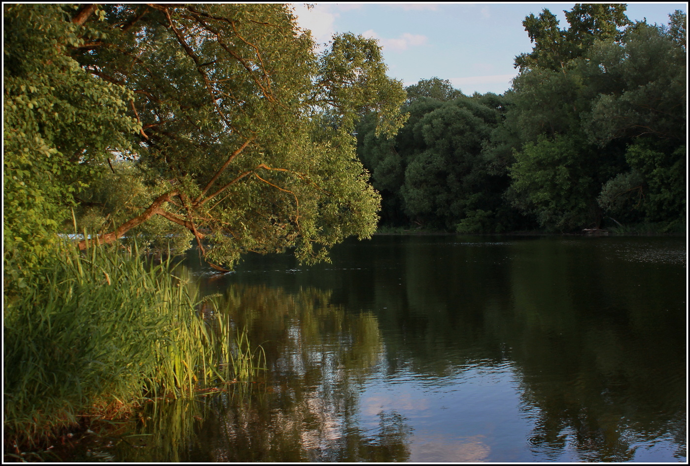 речной этюд