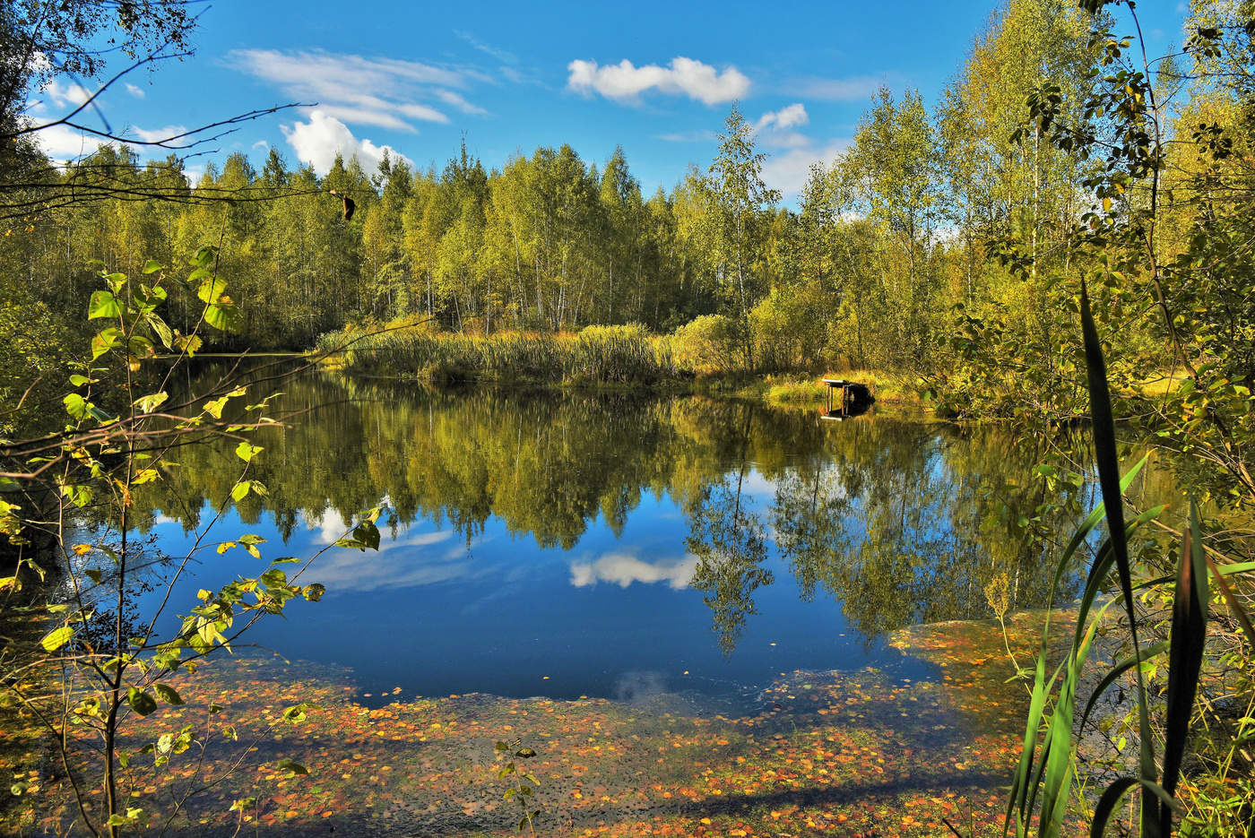 "Как тихо - Господи, помилуй ..."