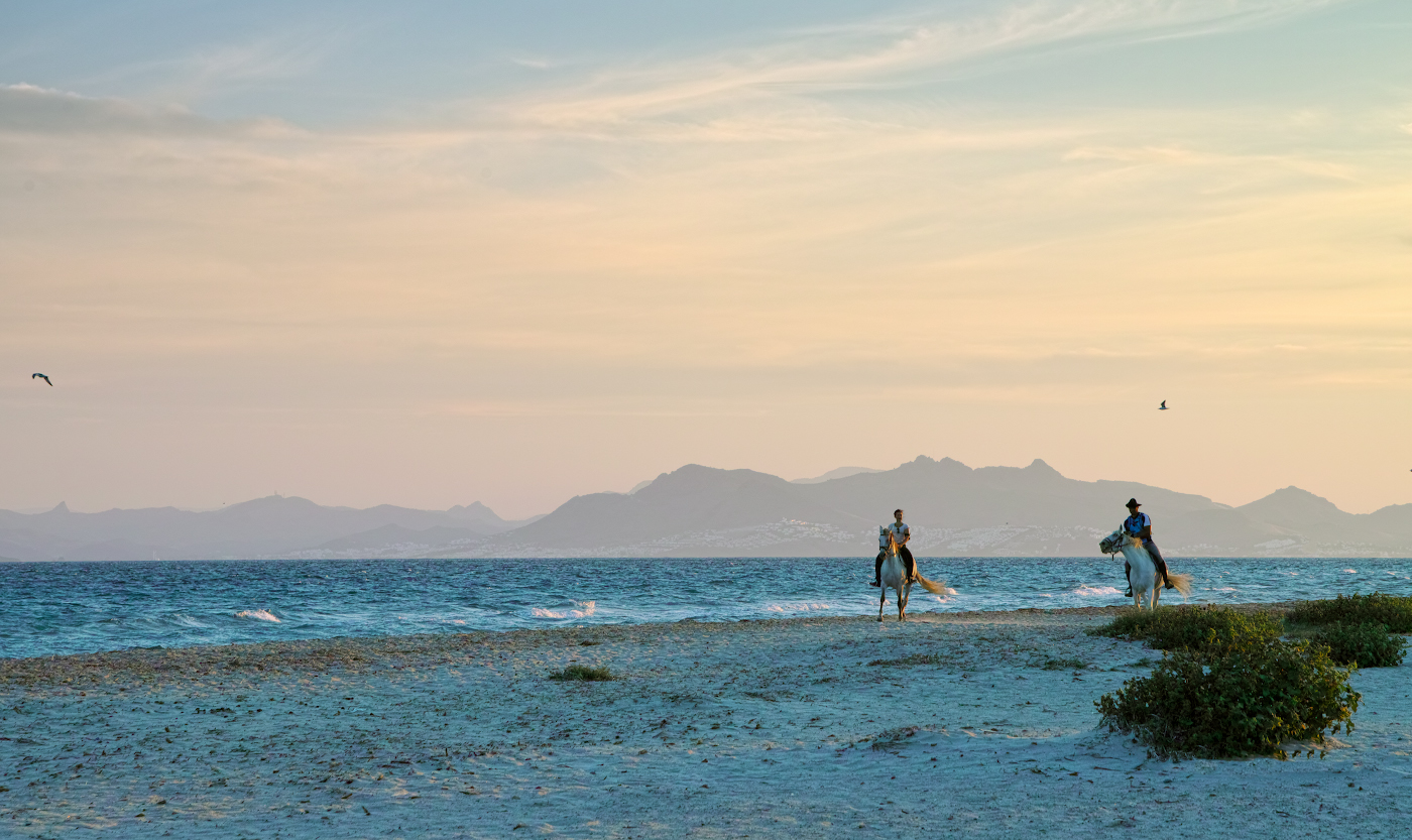 Утреннее свидание