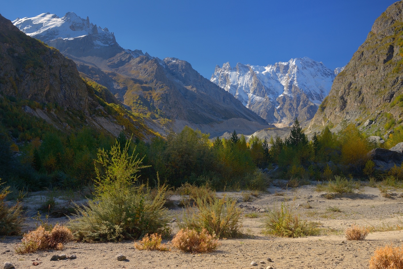 Осенннее утро