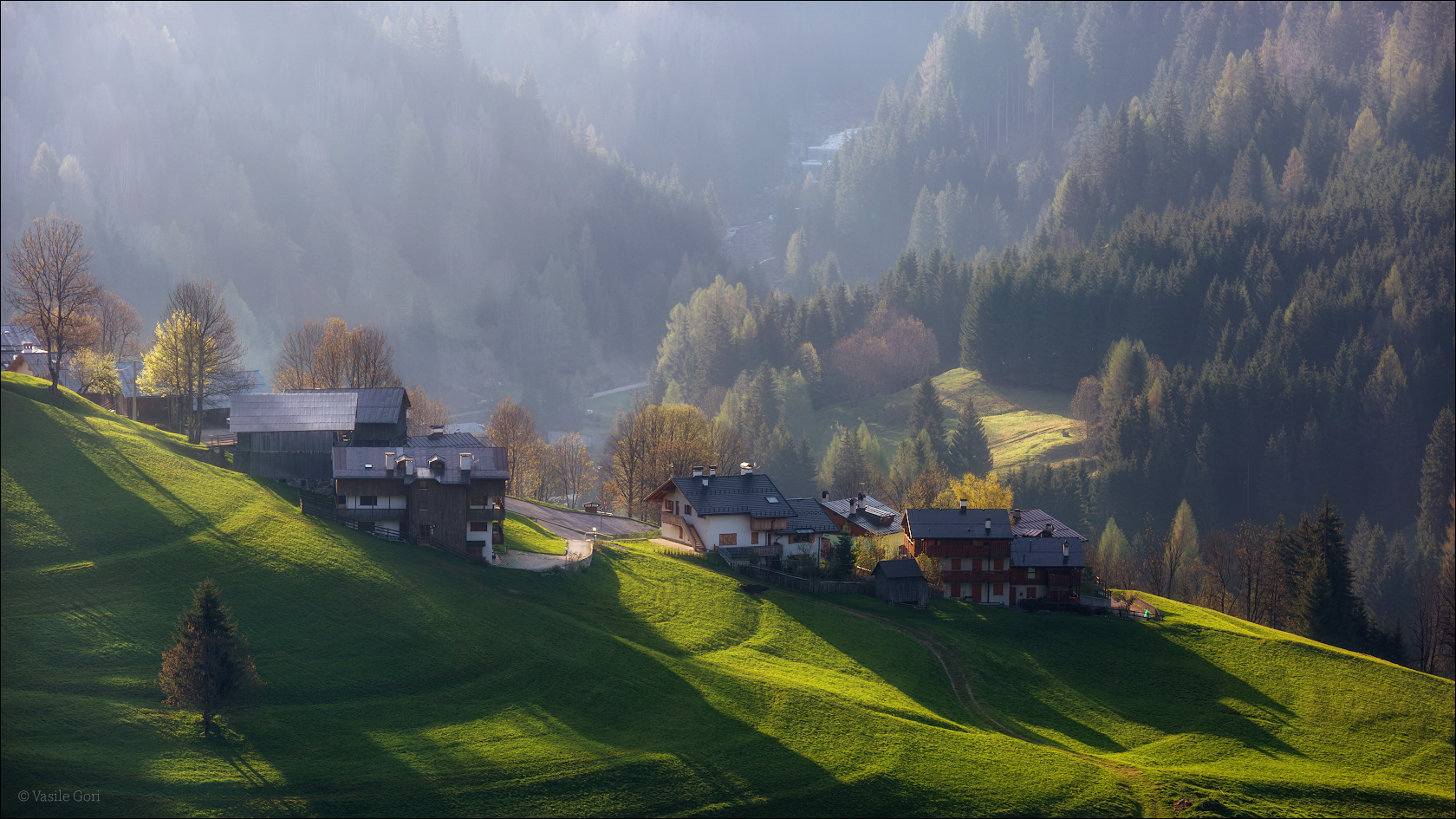 Летний рассвет