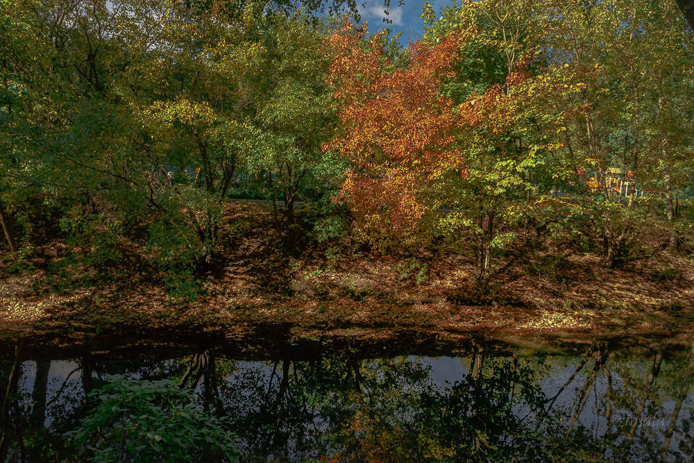 первые краски осени