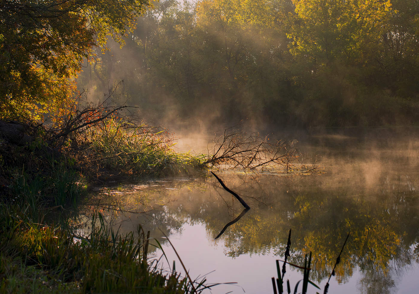Дыхание осени