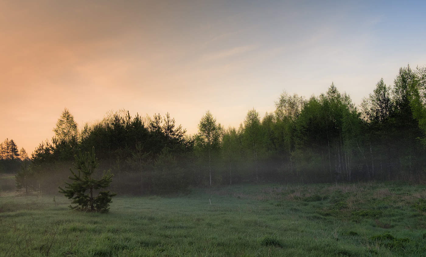 Туманная дымка