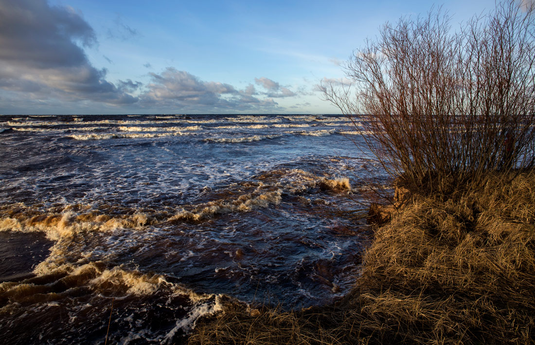 Сезон штормов