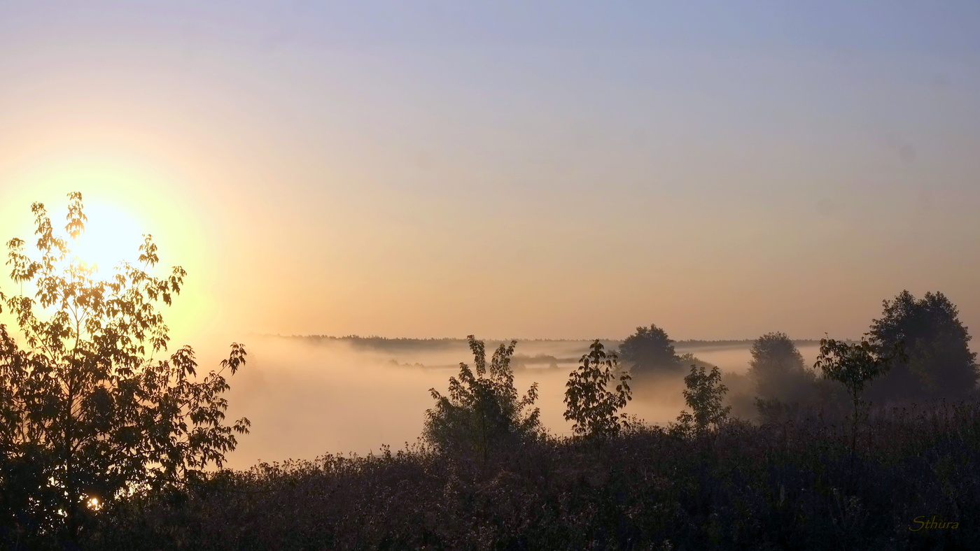 Озеро накрыл туман.