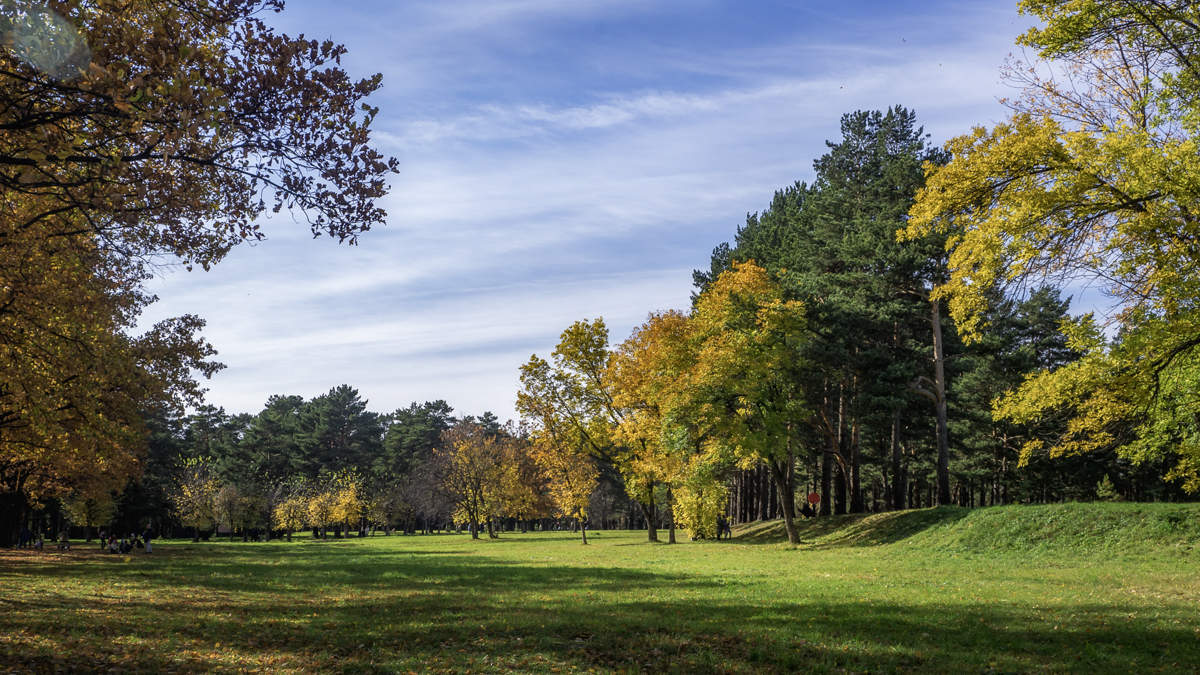 зенковский парк в сентябре