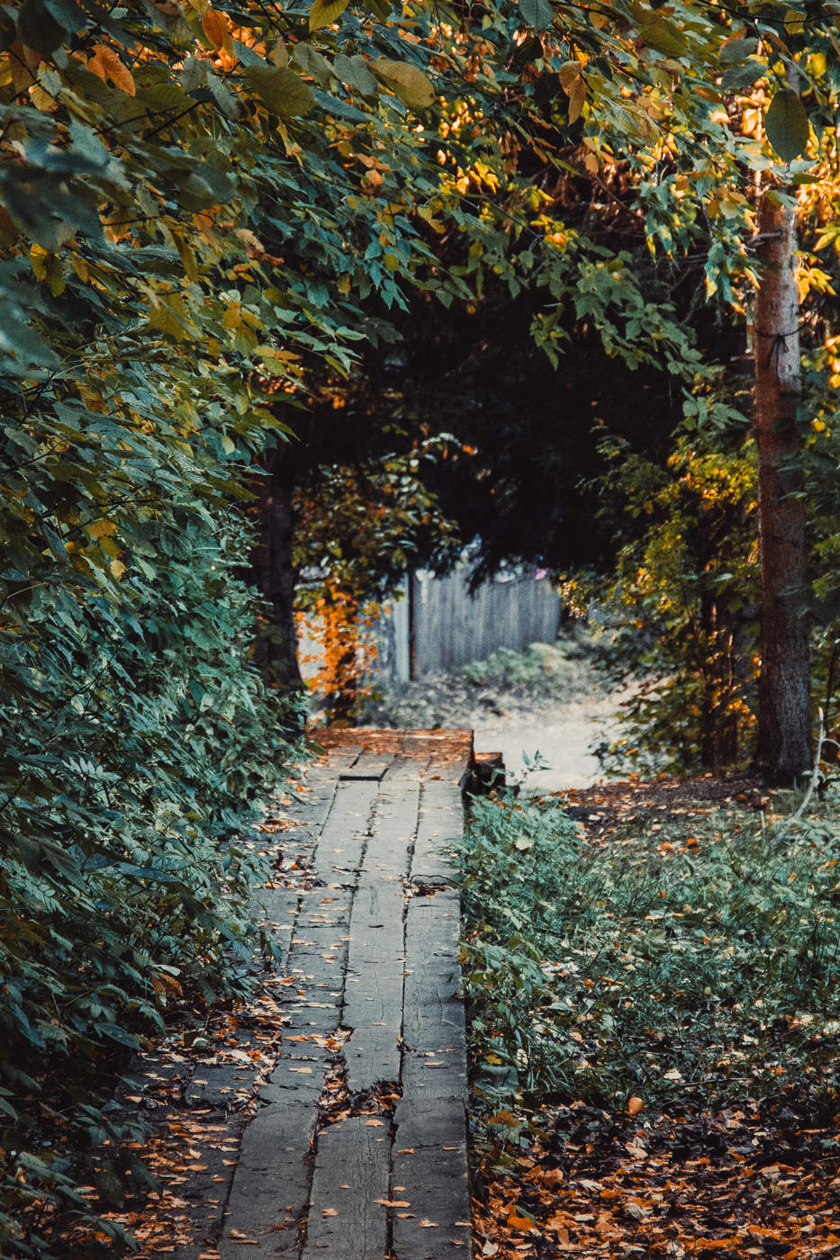 Осенний портал