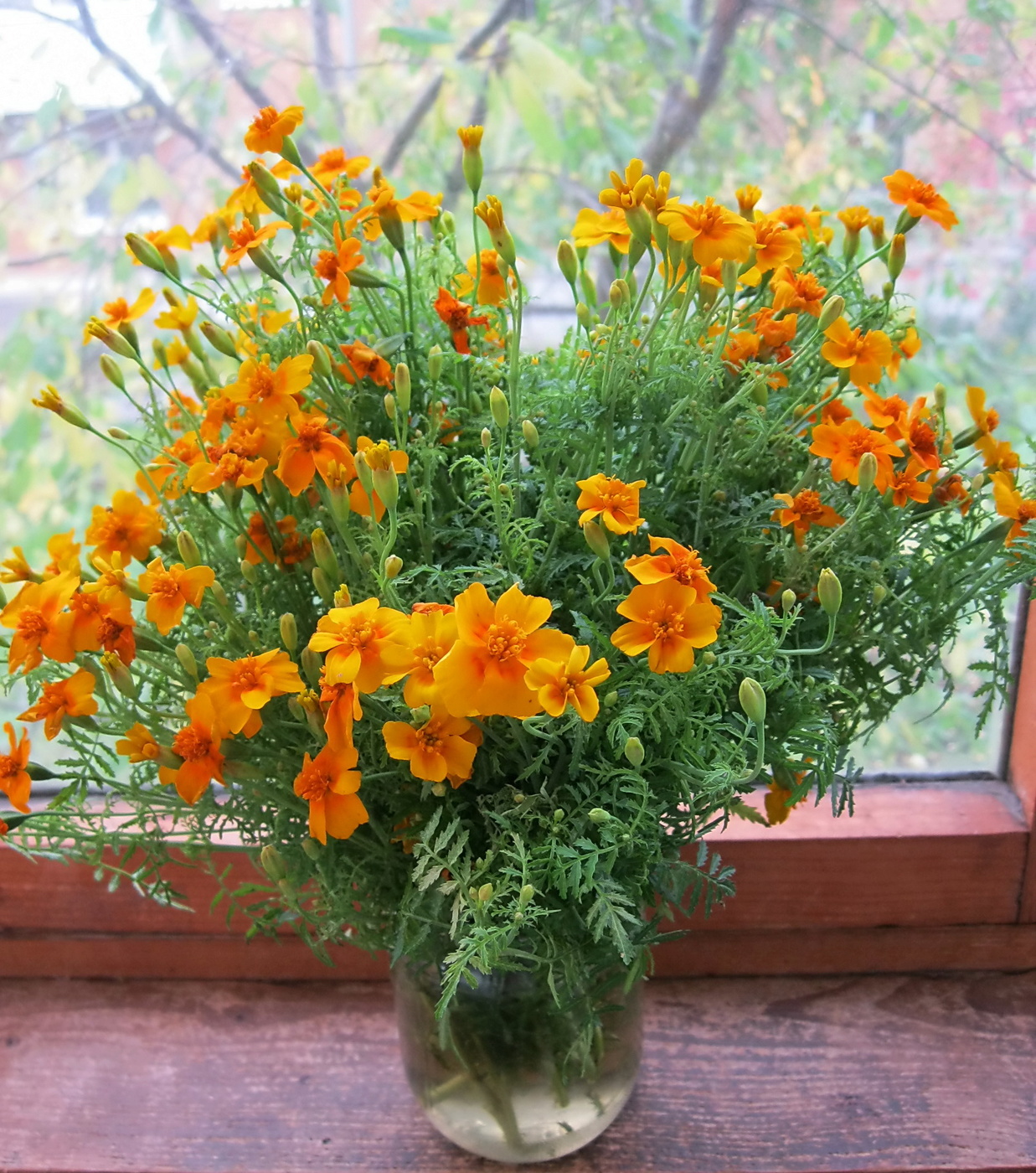 Осенний букет.