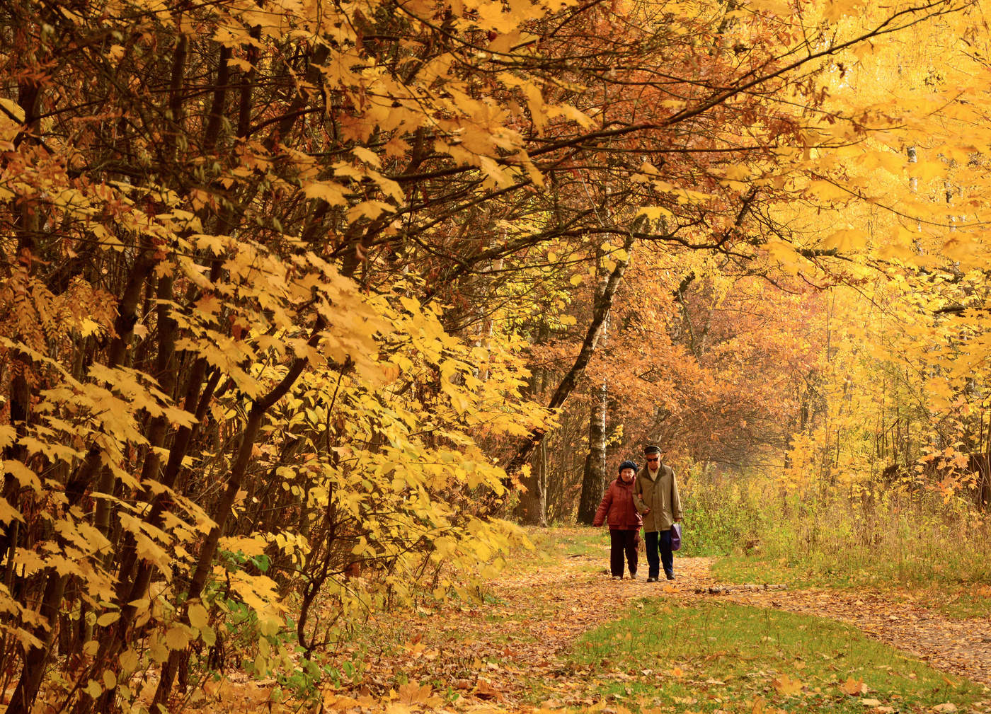 "Любовь и осень в чем-то вы похожи..."