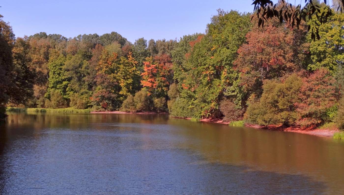 Разноцветье осени