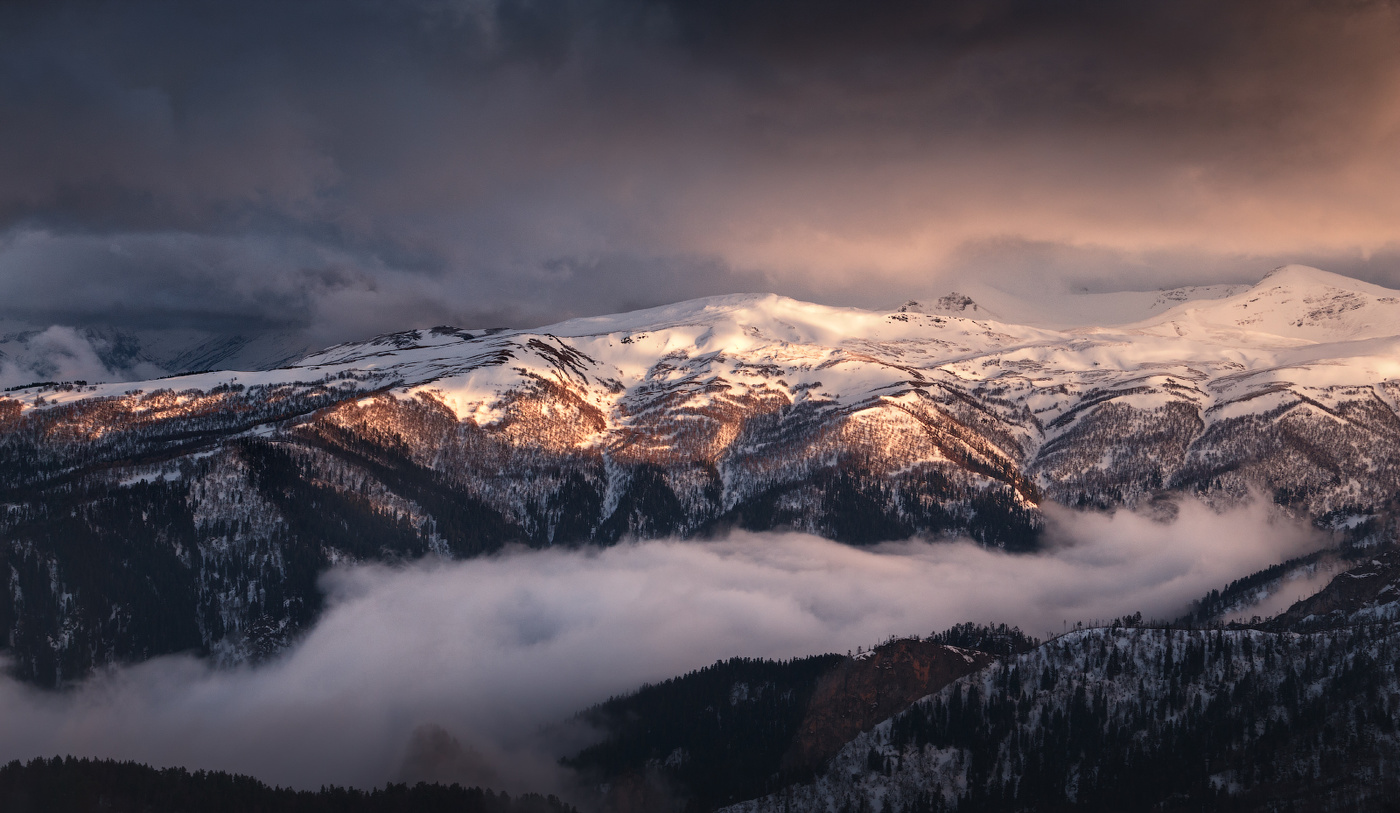 Тревожный рассвет