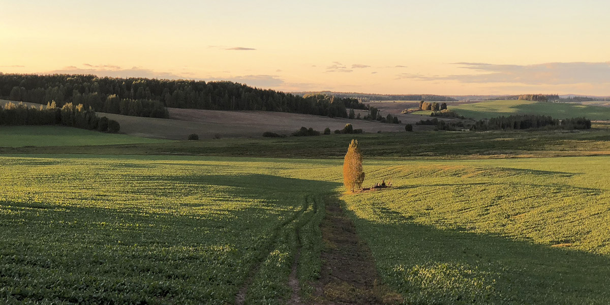 Октябрь в Беларуси
