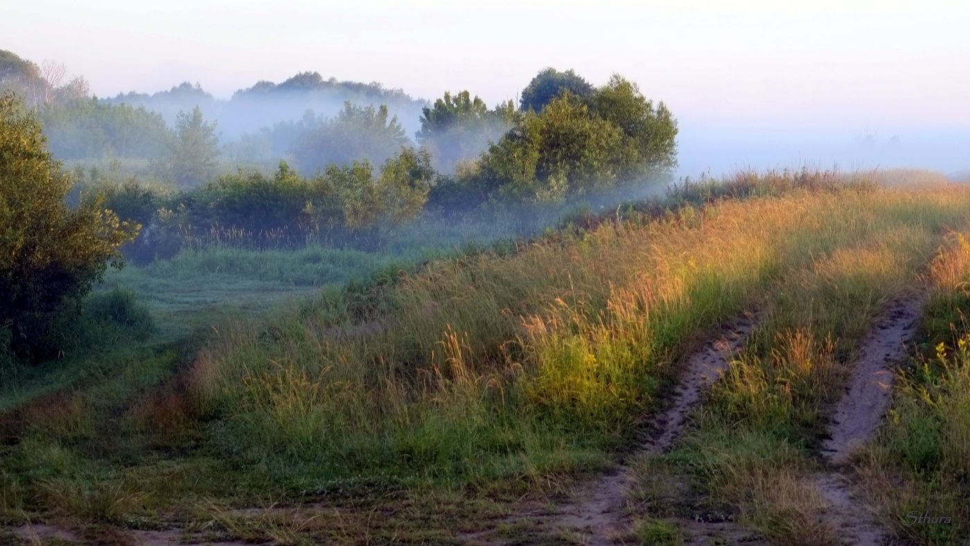 Утренний пейзаж.