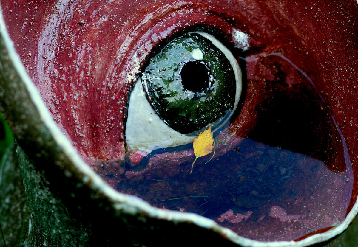 Осень в городе