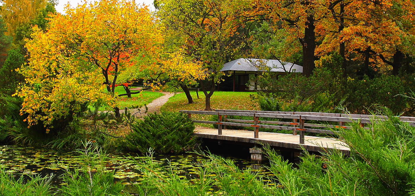 Осень в Японском саду.