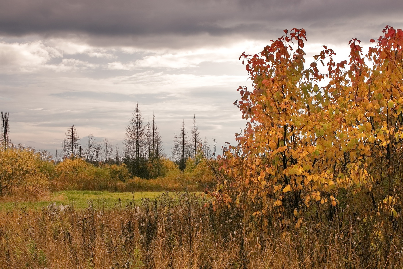 Осенний вечер.