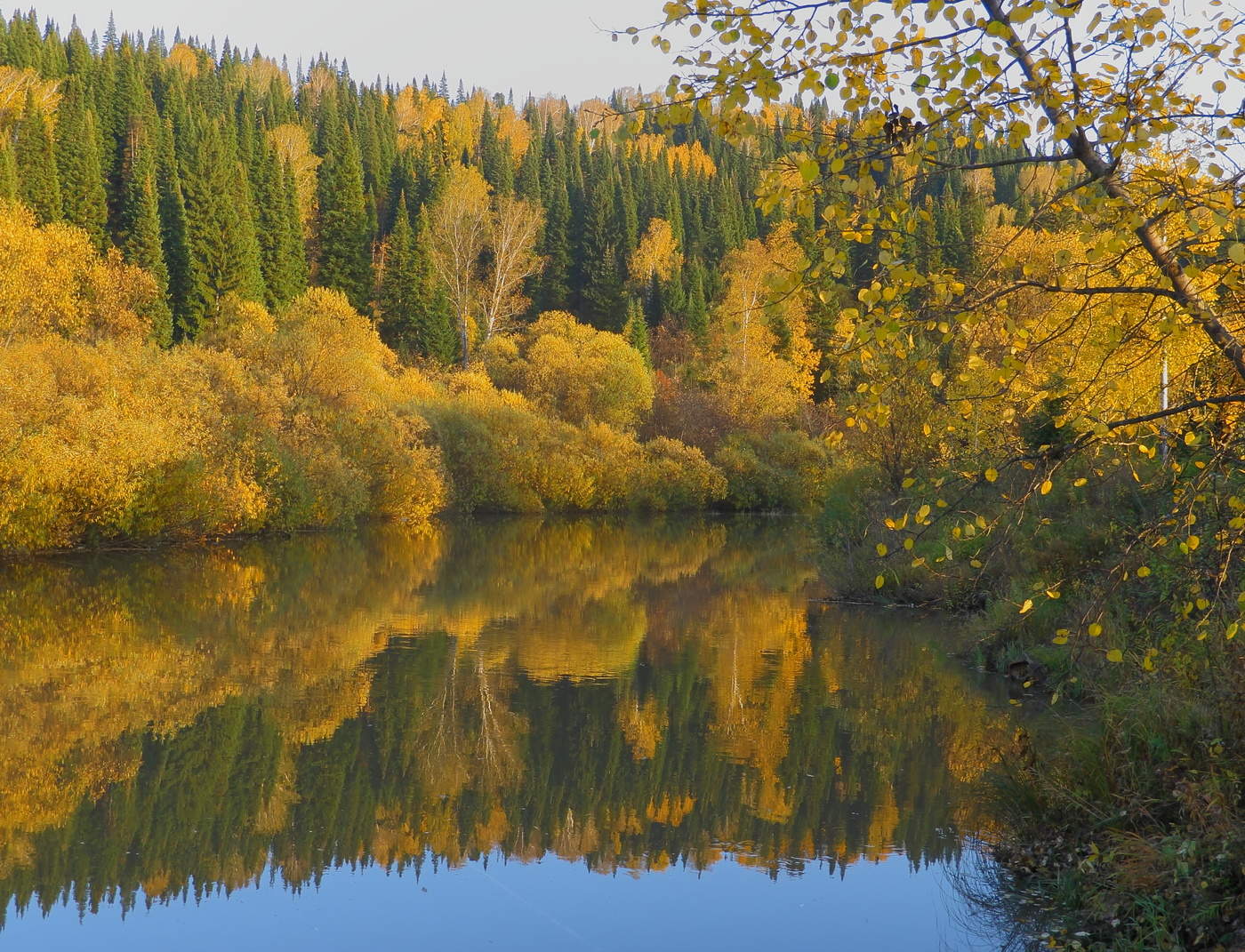 Осень - кошка в рыжих сапогах