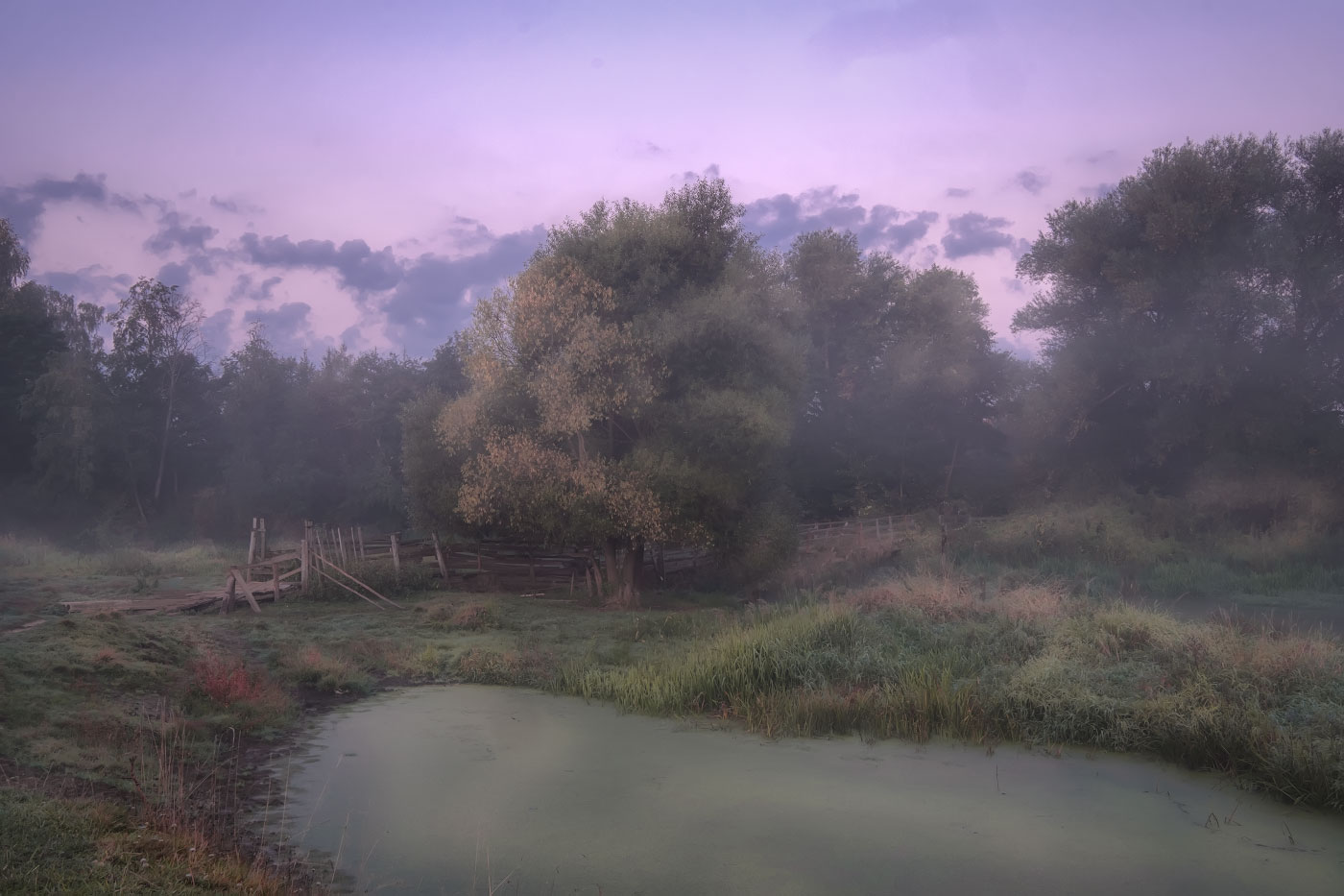 Мостик в тумане