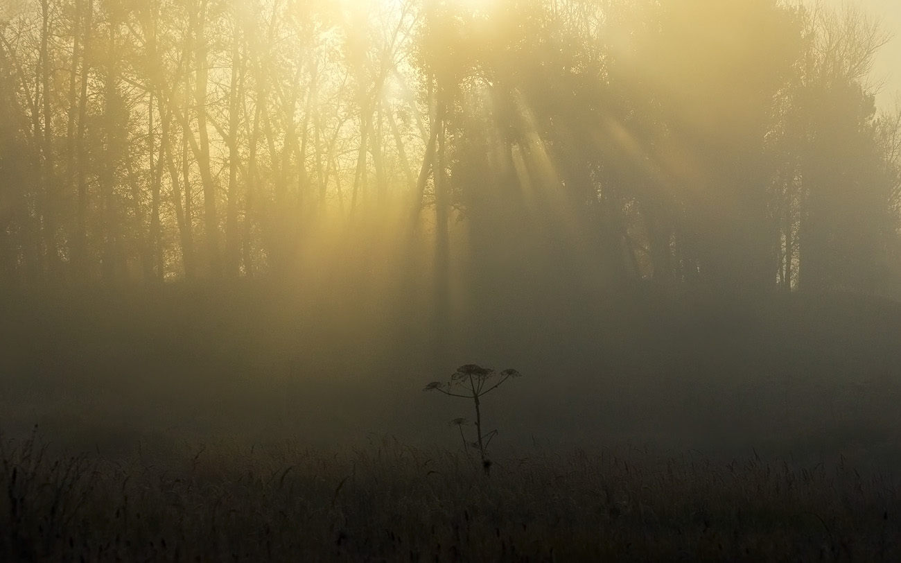 Безмолвный свидетель рассвета