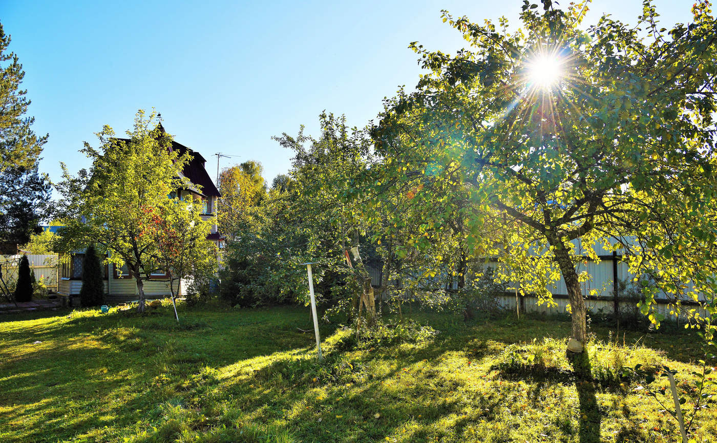 "И голос лета прожитого яснее понимаем мы"