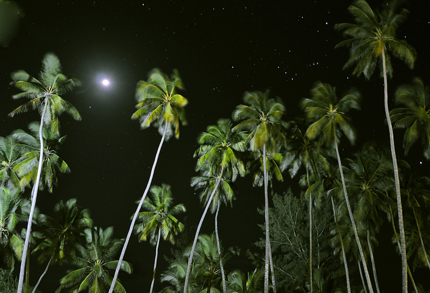 Настроение Баунти