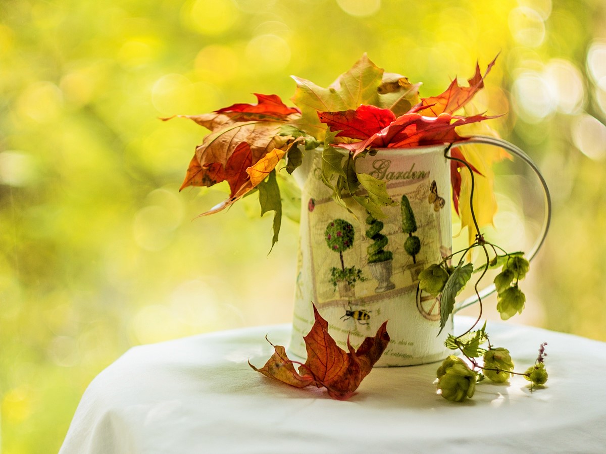 Осеннее настроение