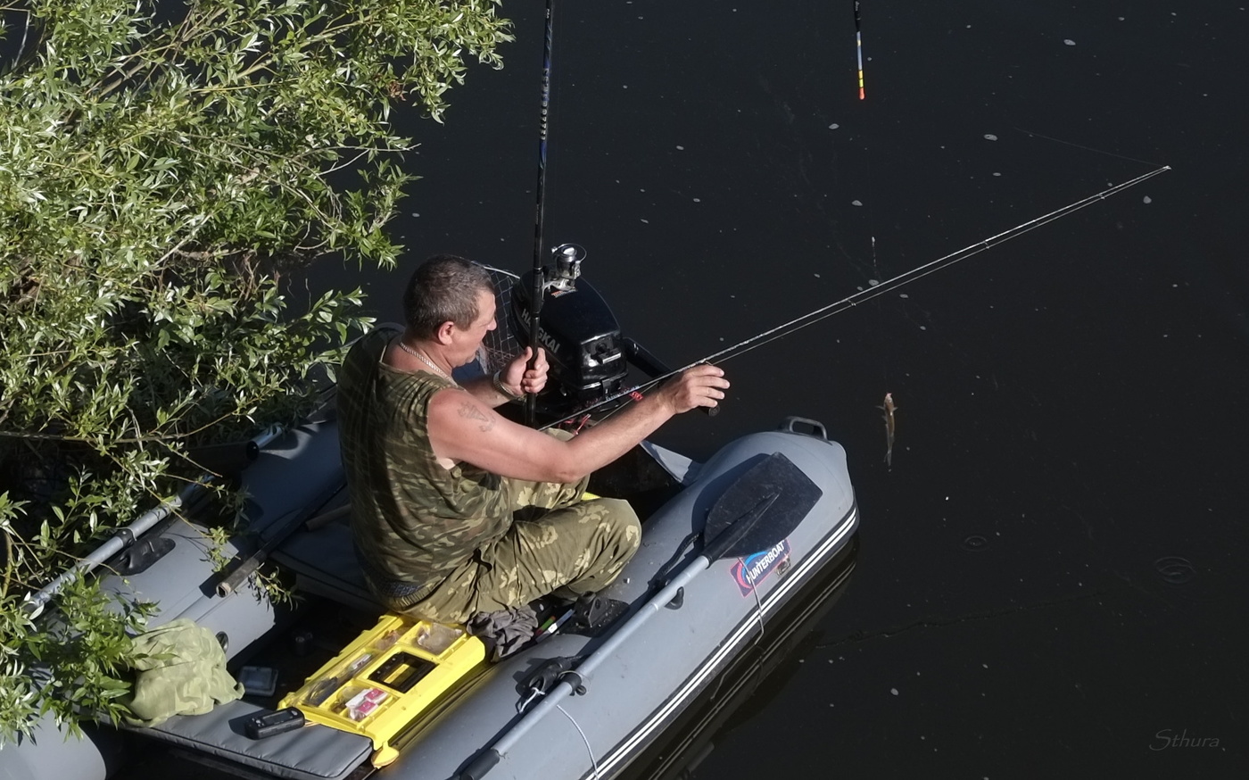 Крупный экземпляр.