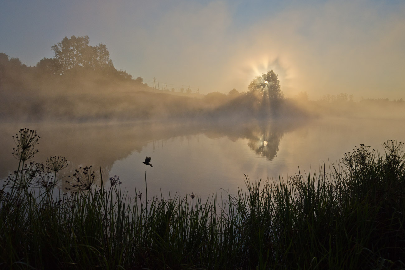 Воспоминание о рассвете