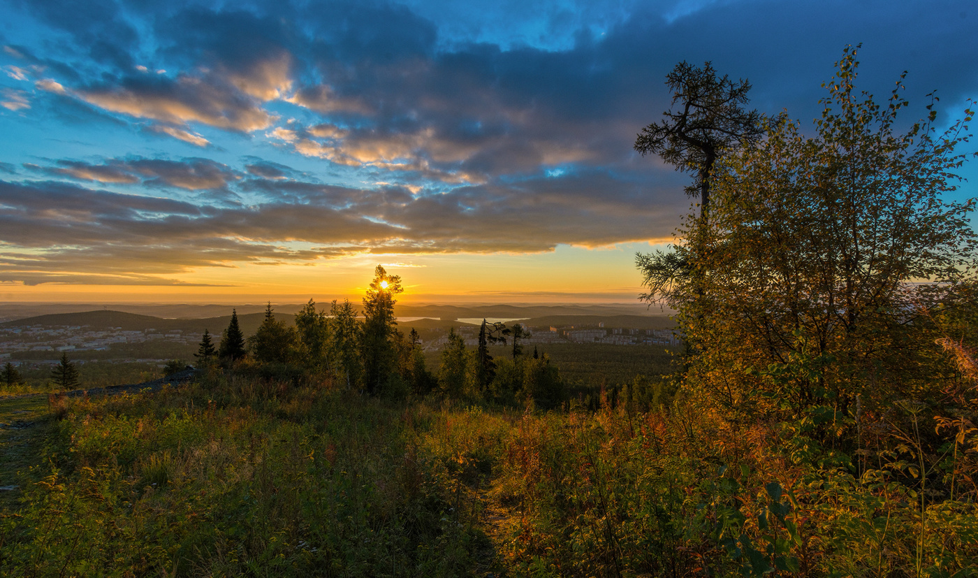 Луч солнца золотой