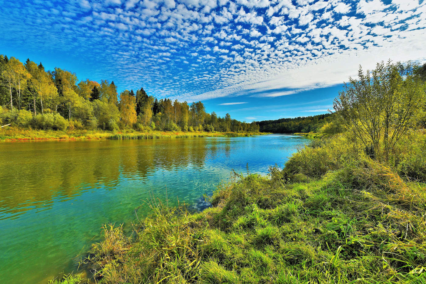 "Хочется рухнуть в траву непомятую..."