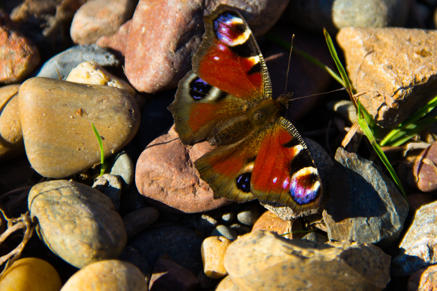 Перспективный кадр