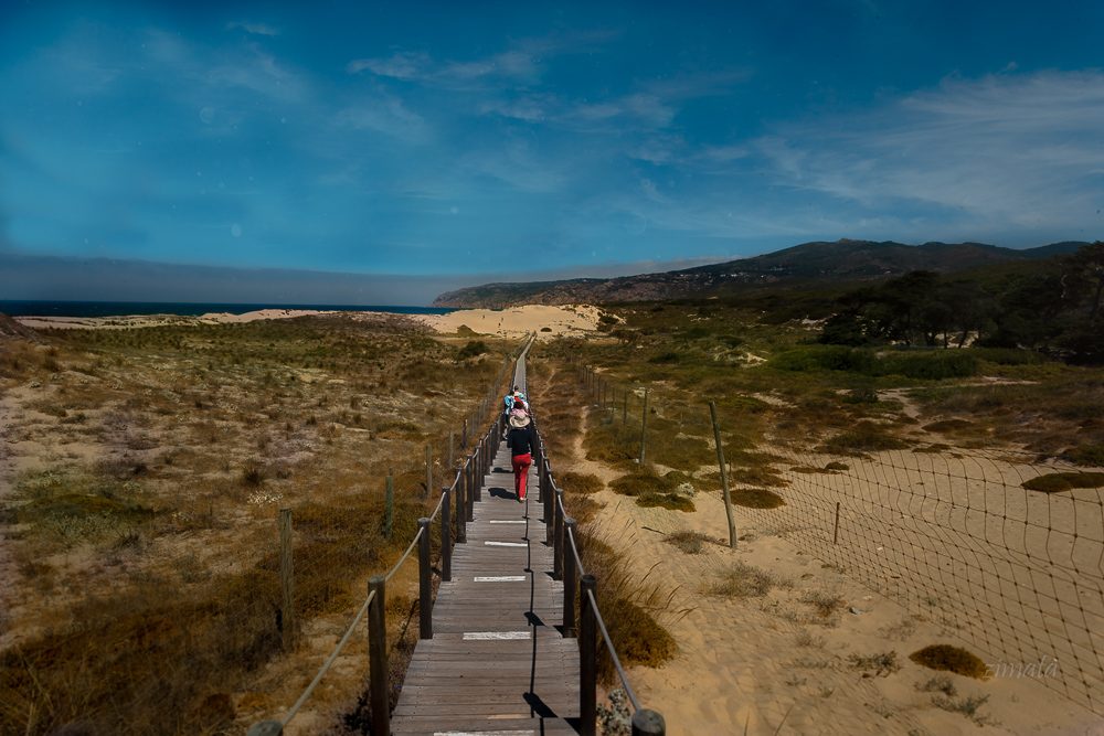 Перспективный кадр